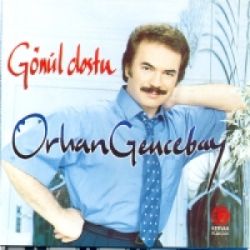 Gönül Dostu