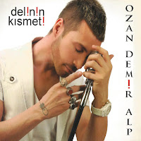 Delinin kısmeti