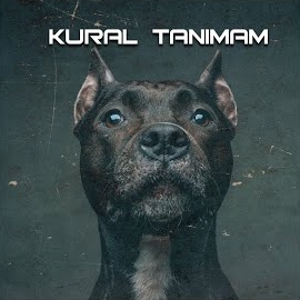 Kural Tanımam