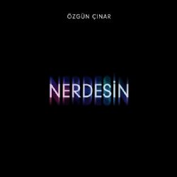 Nerdesin