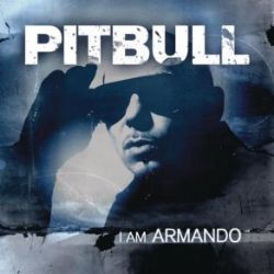 Pitbull Armando