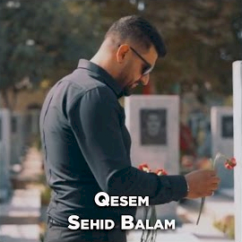 Qeşem Şehid Balam