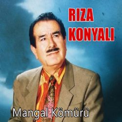 Mangal Kömürü