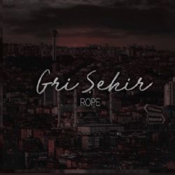 Gri Şehir