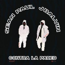 Sean Paul Contra La Pared