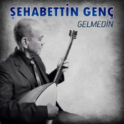 Gelmedin