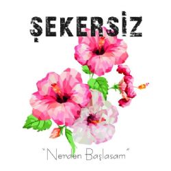 Nerden Başlasam