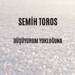 Semih Toros Düşüyorum Yokluğuna