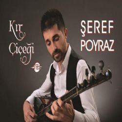 Şeref Poyraz Kır Çiceği