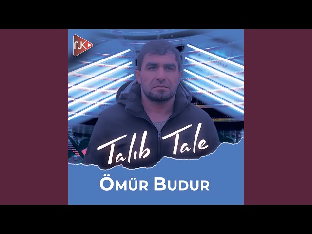 Ömür Budur