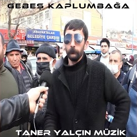 Gebeş Kaplumbağa