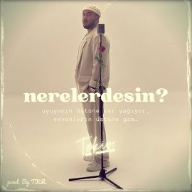 Nerelerdesin