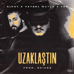 Veysel Mutlu Uzaklaştın