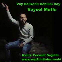 Veysel Mutlu Vay Delikanlı Gönlüm